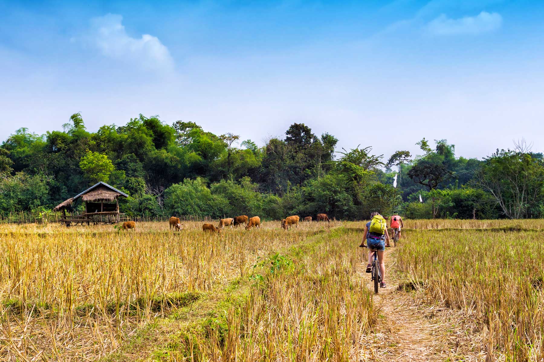 CYCLING THE IRRAWADDY VALLEY 13 DAYS